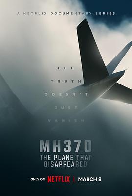 MH370：消失的航班}